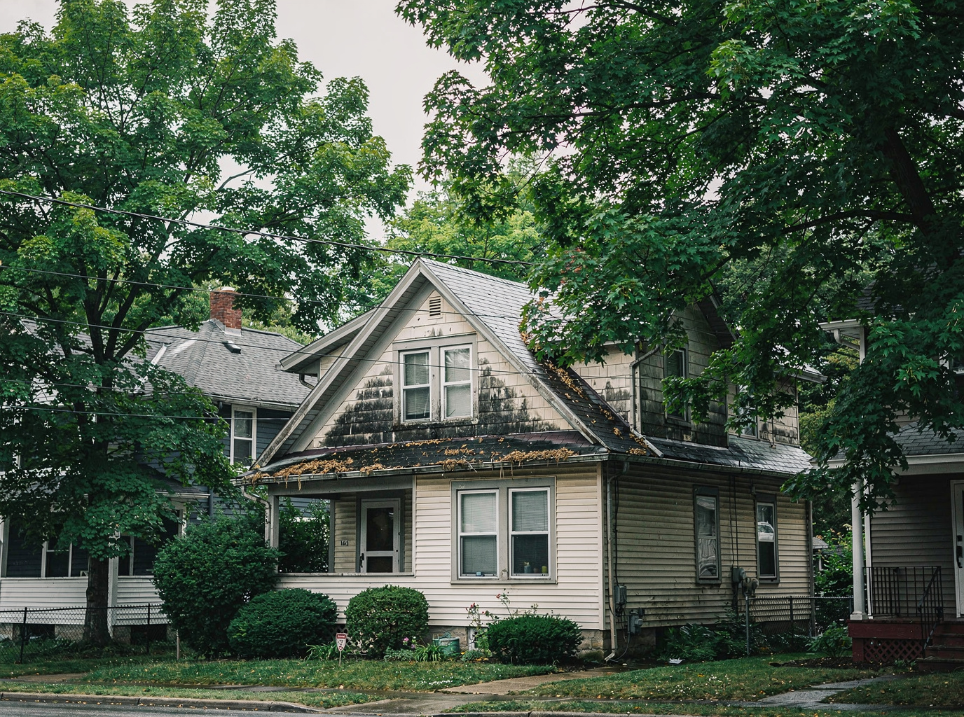 How Tree Cover Increases Attic Mold Risk in Rochester Neighborhoods